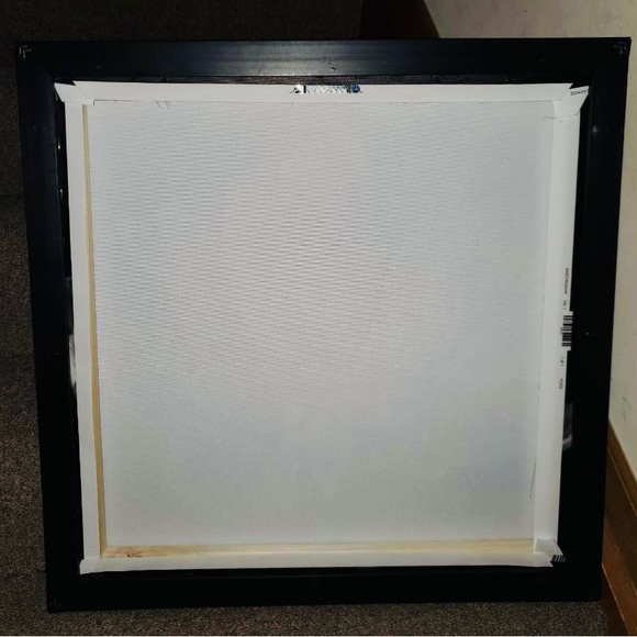 24" H x 24" W x 2" D Tulipa Double Black White Framed On Canvas | NWOT - Picture 3 of 8